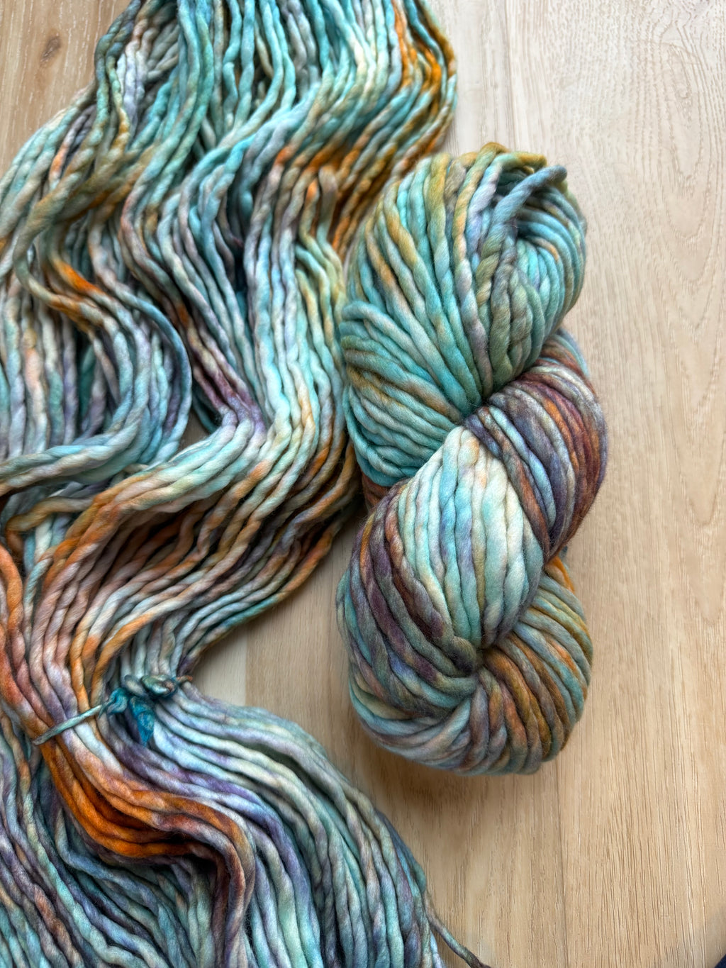 Malabrigo Rasta Amphibian Yarn