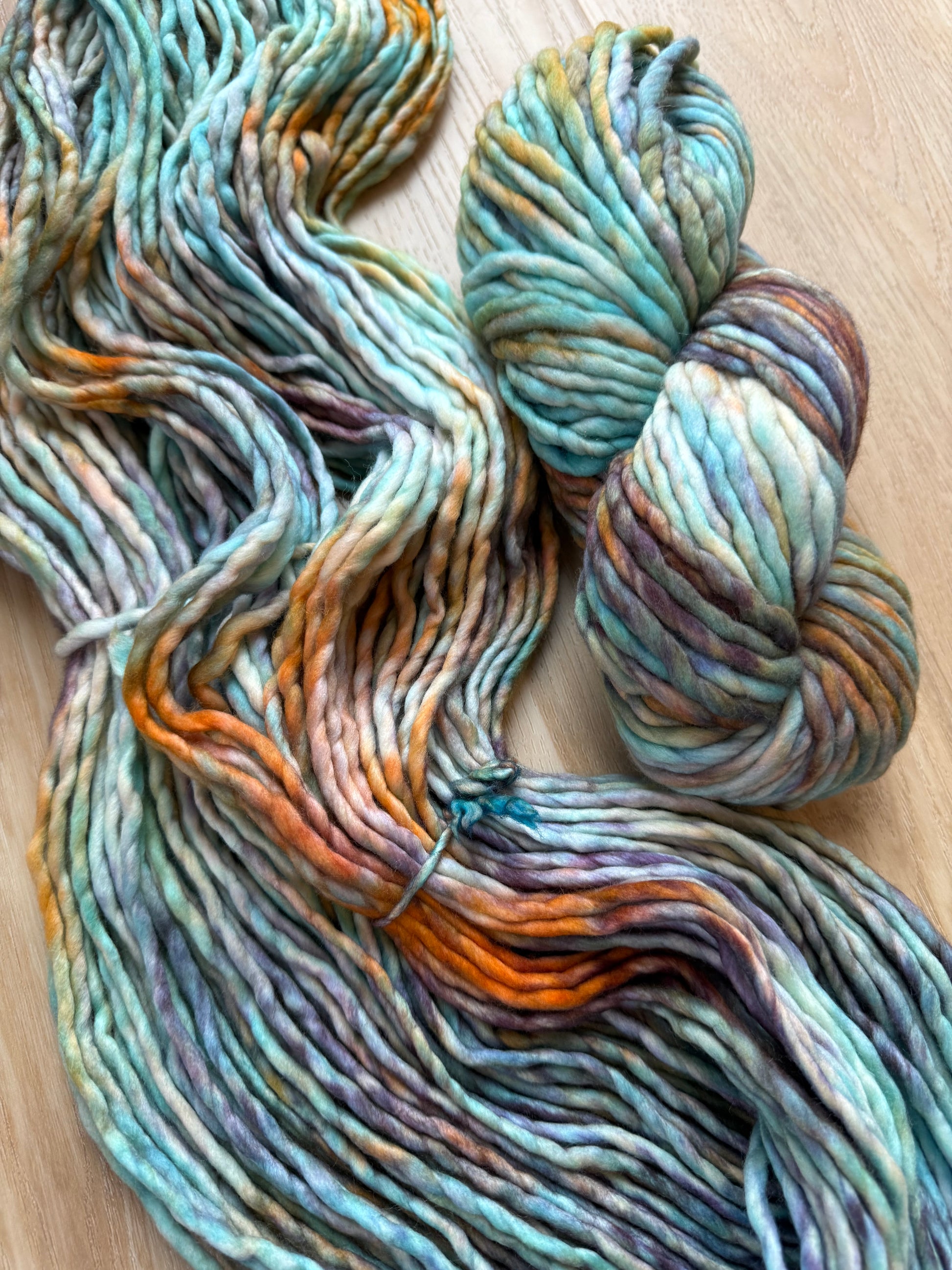 Malabrigo Rasta Amphibian Yarn