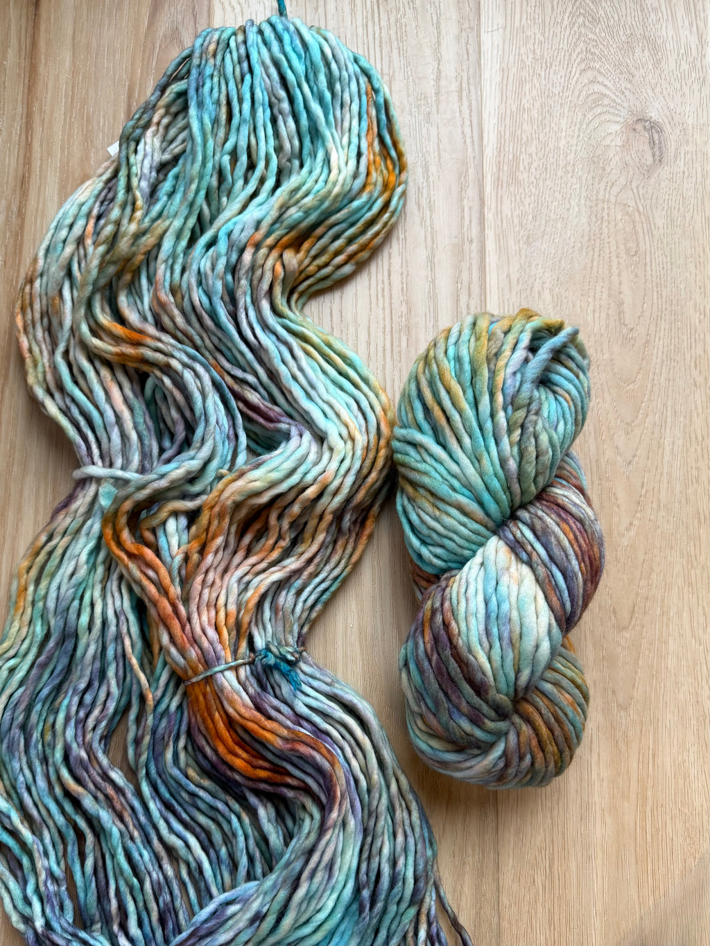 Malabrigo Rasta Amphibian Yarn