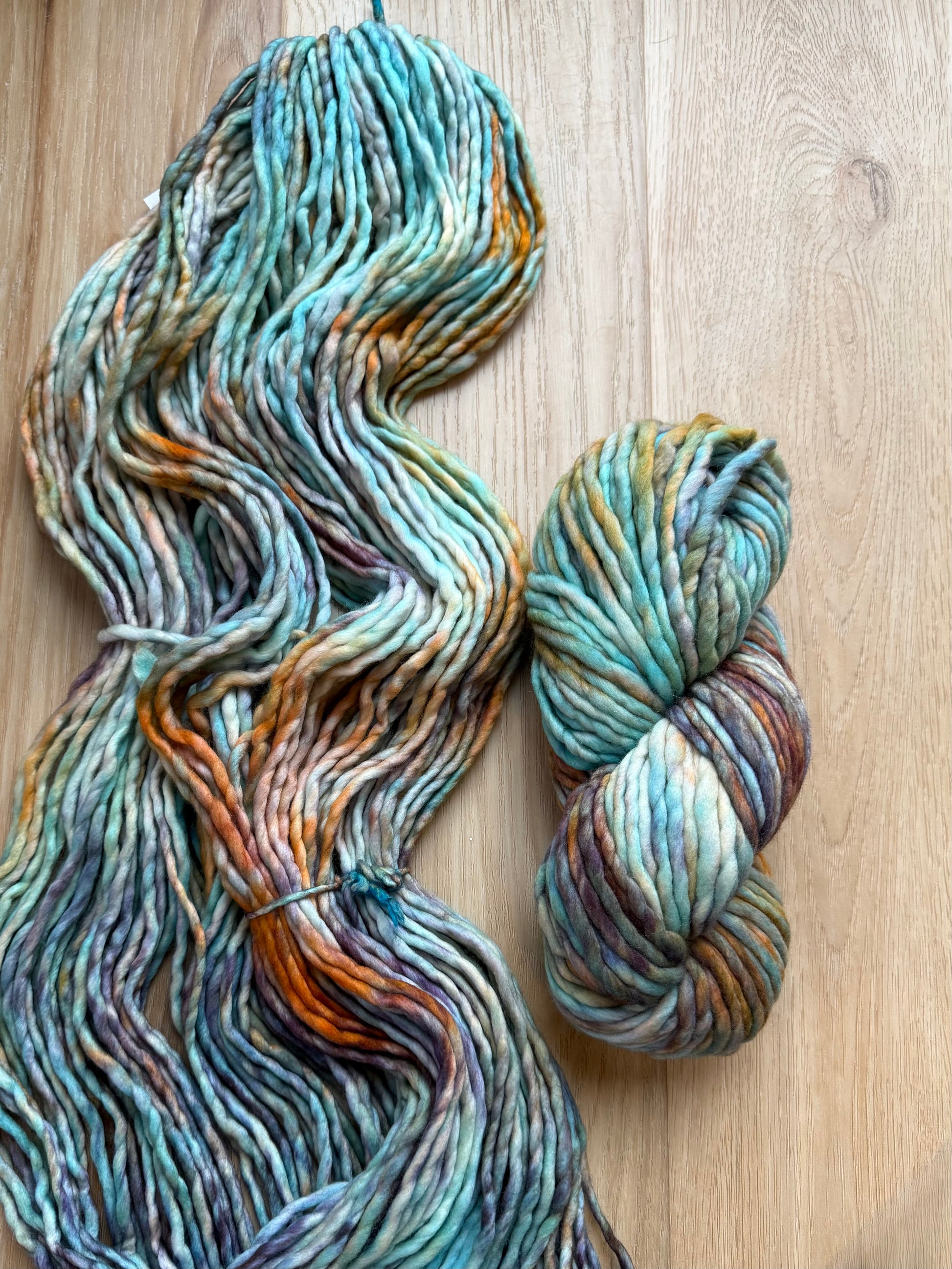 Malabrigo Rasta Amphibian Yarn
