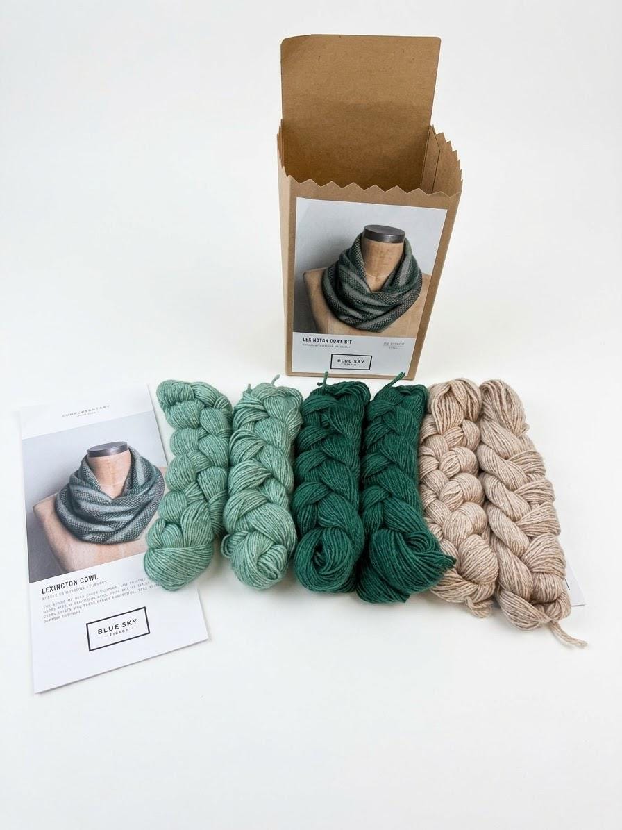 Knitting Kit - Lexington Cowl crochet kit with pattern and yarn, Blue sky fibers, alpaca silk yarn
