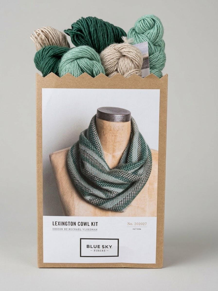 Knitting Kit - Lexington Cowl crochet kit with pattern and yarn, Blue sky fibers, alpaca silk yarn