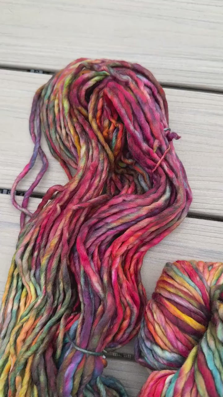 Malabrigo Rasta Diana yarn multi color yarn Merino wool super bulky yarn