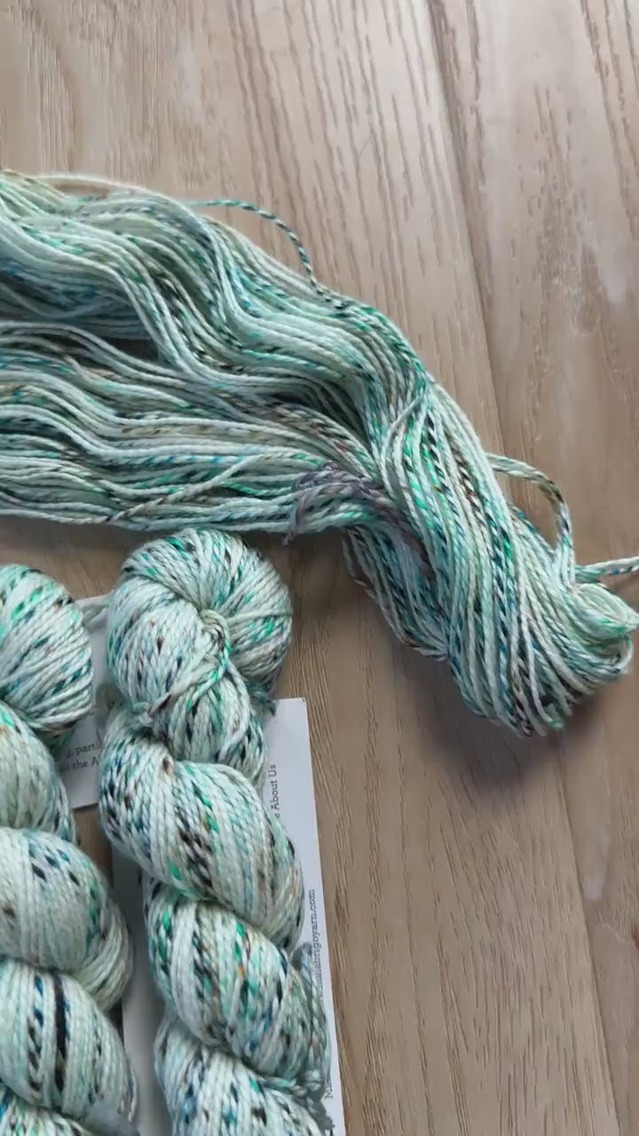 NEW! Malabrigo Torzal Sea horse - DK weight 100% merino wool